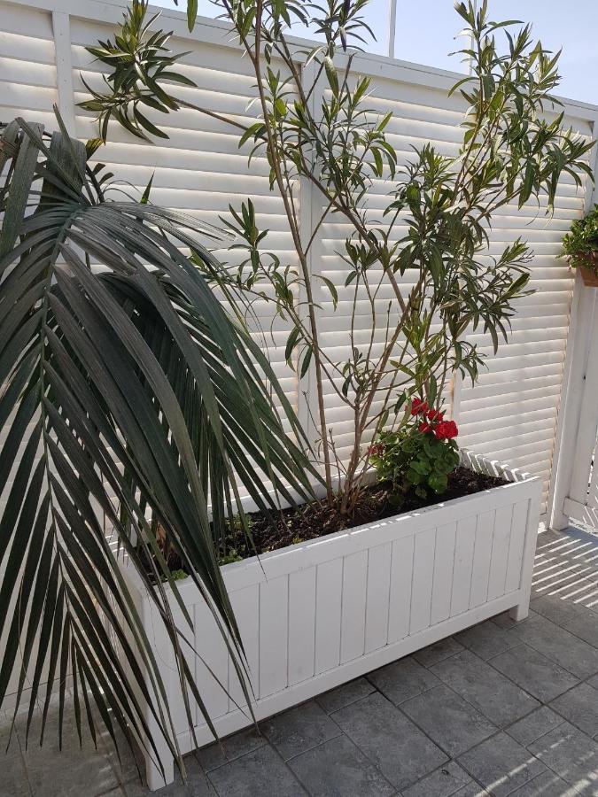 Citrus Boutique Hotel Baku Ngoại thất bức ảnh